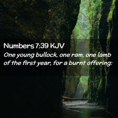 Picture 02 - Numbers 7:39 KJV - One young bullock, one ram, one lamb of the first - Bible Verse Picture