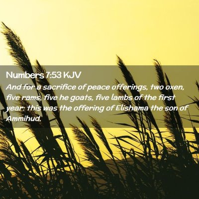 Picture 02 - Numbers 7:53 KJV - And for a sacrifice of peace offerings, two oxen, - Bible Verse Picture