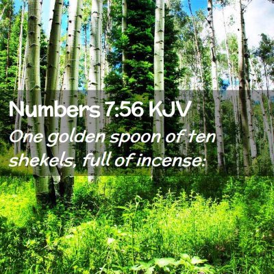 Picture 02 - Numbers 7:56 KJV - One golden spoon of ten shekels, full of - Bible Verse Picture