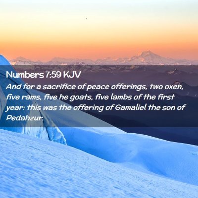 Picture 02 - Numbers 7:59 KJV - And for a sacrifice of peace offerings, two oxen, - Bible Verse Picture