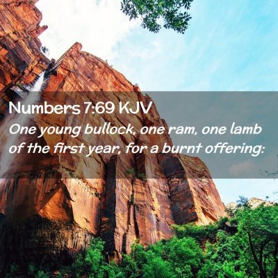 Picture 02 - Numbers 7:69 KJV - One young bullock, one ram, one lamb of the first - Bible Verse Picture