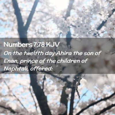 Picture 02 - Numbers 7:78 KJV - On the twelfth day Ahira the son of Enan, prince - Bible Verse Picture