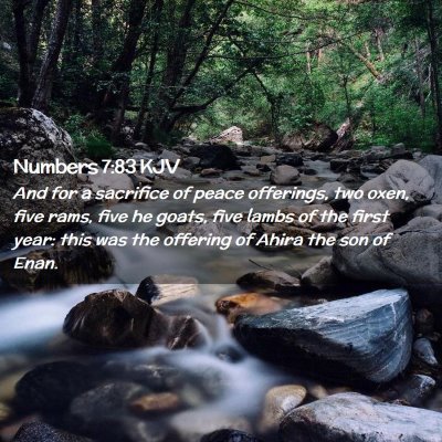 Picture 02 - Numbers 7:83 KJV - And for a sacrifice of peace offerings, two oxen, - Bible Verse Picture