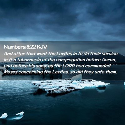 Picture 02 - Numbers 8:22 KJV - And after that went the Levites in to do their - Bible Verse Picture