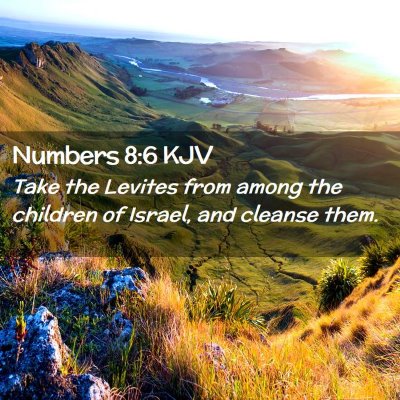 Picture 02 - Numbers 8:6 KJV - Take the Levites from among the children of - Bible Verse Picture