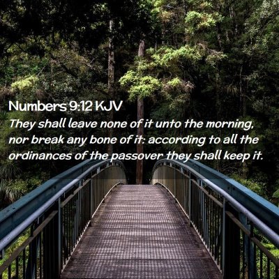 Picture 02 - Numbers 9:12 KJV - They shall leave none of it unto the morning, nor - Bible Verse Picture