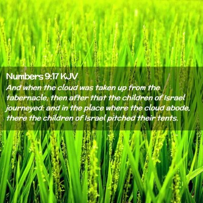 Picture 02 - Numbers 9:17 KJV - And when the cloud was taken up from the - Bible Verse Picture