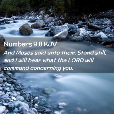 Picture 02 - Numbers 9:8 KJV - And Moses said unto them, Stand still, and I will - Bible Verse Picture