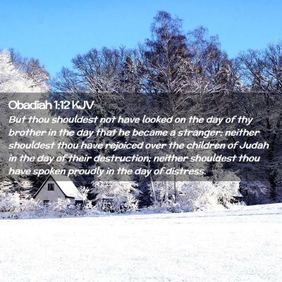 Picture 02 - Obadiah 1:12 KJV - But thou shouldest not have looked on the day of - Bible Verse Picture