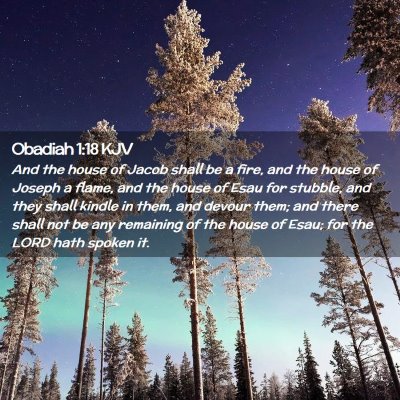 Picture 02 - Obadiah 1:18 KJV - And the house of Jacob shall be a fire, and the - Bible Verse Picture
