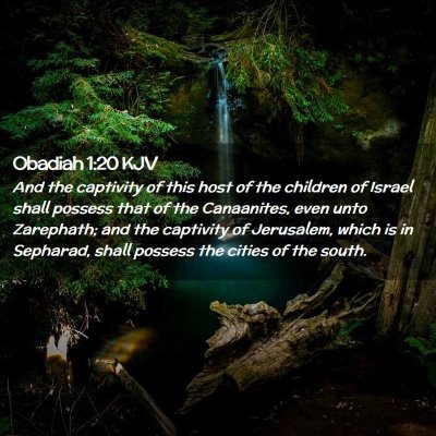 Picture 02 - Obadiah 1:20 KJV - And the captivity of this host of the children of - Bible Verse Picture