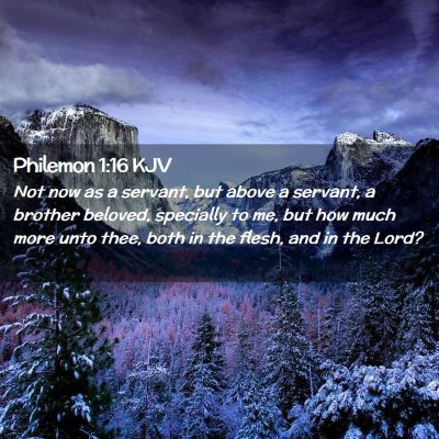 Picture 02 - Philemon 1:16 KJV - Not now as a servant, but above a servant, a - Bible Verse Picture