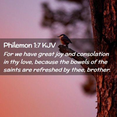 Picture 02 - Philemon 1:7 KJV - For we have great joy and consolation in thy - Bible Verse Picture
