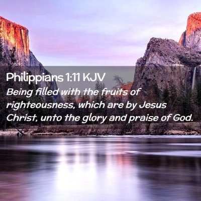 Picture 02 - Philippians 1:11 KJV - Being filled with the fruits of righteousness, - Bible Verse Picture