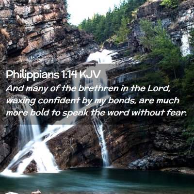Picture 02 - Philippians 1:14 KJV - And many of the brethren in the Lord, waxing - Bible Verse Picture