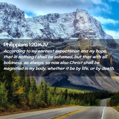 Picture 02 - Philippians 1:20 KJV - According to my earnest expectation and my hope, - Bible Verse Picture