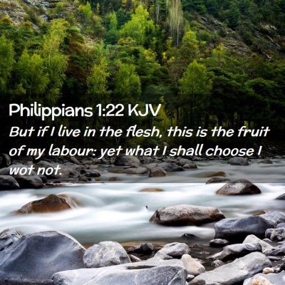 Picture 02 - Philippians 1:22 KJV - But if I live in the flesh, this is the fruit of - Bible Verse Picture