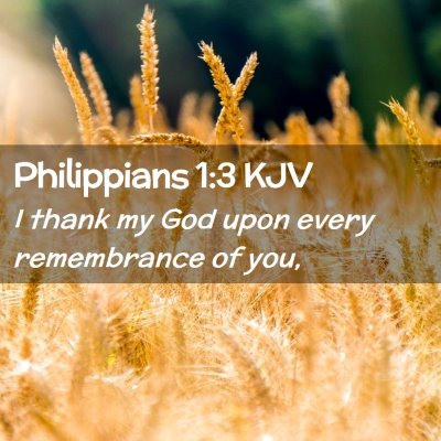 Picture 02 - Philippians 1:3 KJV - I thank my God upon every remembrance of - Bible Verse Picture