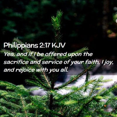 Picture 02 - Philippians 2:17 KJV - Yea, and if I be offered upon the sacrifice and - Bible Verse Picture