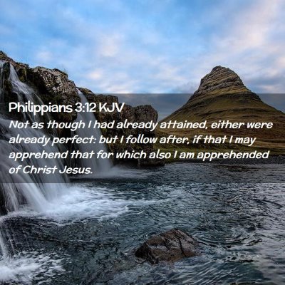 Picture 02 - Philippians 3:12 KJV - Not as though I had already attained, either were - Bible Verse Picture