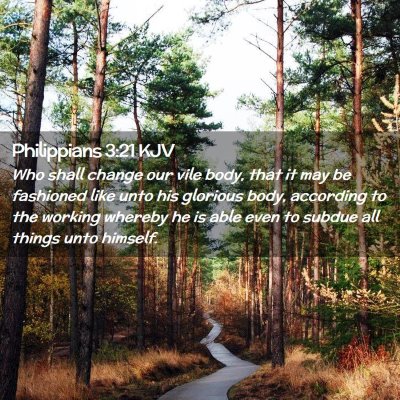Picture 02 - Philippians 3:21 KJV - Who shall change our vile body, that it may be - Bible Verse Picture