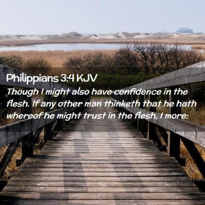 Picture 02 - Philippians 3:4 KJV - Though I might also have confidence in the flesh. - Bible Verse Picture
