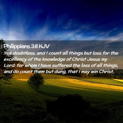 Picture 02 - Philippians 3:8 KJV - Yea doubtless, and I count all things but loss - Bible Verse Picture
