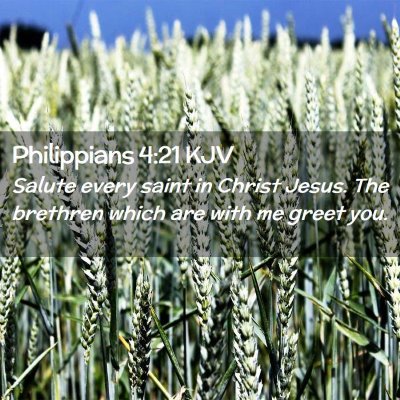 Picture 02 - Philippians 4:21 KJV - Salute every saint in Christ Jesus. The brethren - Bible Verse Picture