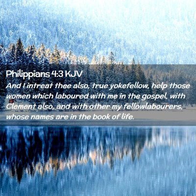 Picture 02 - Philippians 4:3 KJV - And I intreat thee also, true yokefellow, help - Bible Verse Picture