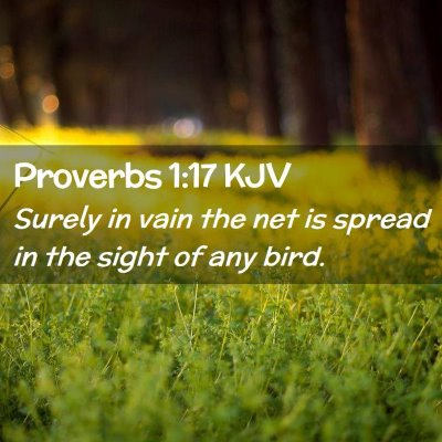 Picture 02 - Proverbs 1:17 KJV - Surely in vain the net is spread in the sight of - Bible Verse Picture
