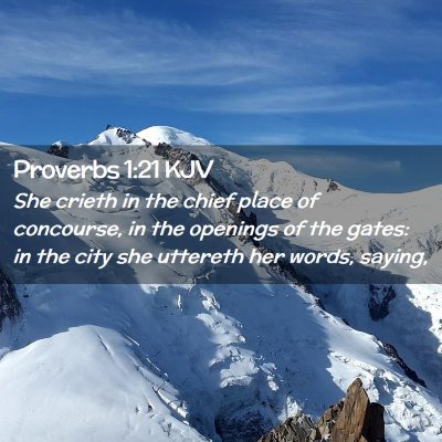 Picture 02 - Proverbs 1:21 KJV - She crieth in the chief place of concourse, in - Bible Verse Picture