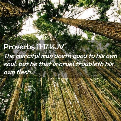 Picture 02 - Proverbs 11:17 KJV - The merciful man doeth good to his own soul: but - Bible Verse Picture