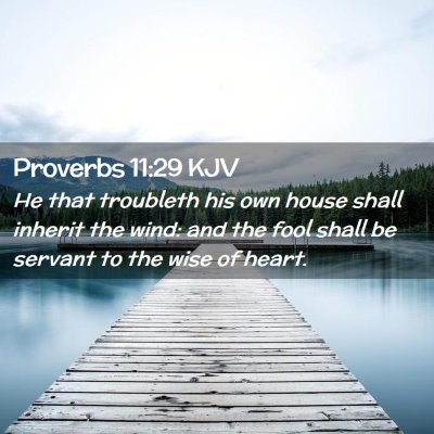 Picture 02 - Proverbs 11:29 KJV - He that troubleth his own house shall inherit the - Bible Verse Picture