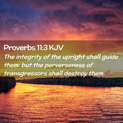 Picture 02 - Proverbs 11:3 KJV - The integrity of the upright shall guide them: - Bible Verse Picture