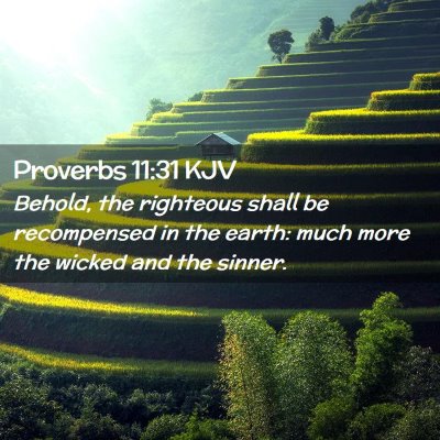 Picture 02 - Proverbs 11:31 KJV - Behold, the righteous shall be recompensed in the - Bible Verse Picture