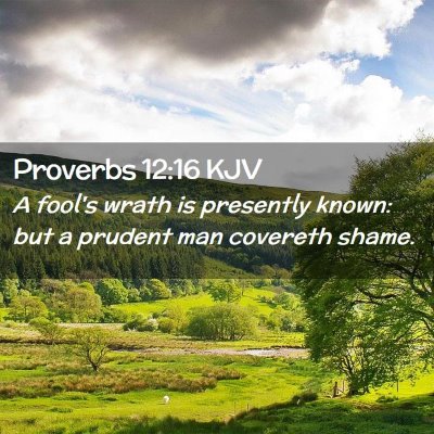 Picture 02 - Proverbs 12:16 KJV - A fool's wrath is presently known: but a prudent - Bible Verse Picture