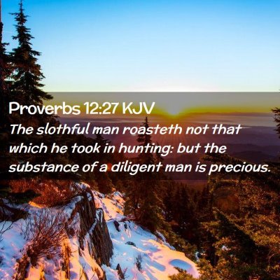 Picture 02 - Proverbs 12:27 KJV - The slothful man roasteth not that which he took - Bible Verse Picture