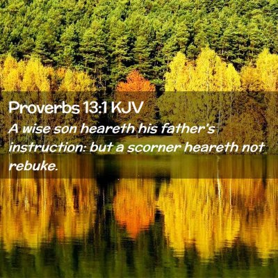 Picture 02 - Proverbs 13:1 KJV - A wise son heareth his father's instruction: but - Bible Verse Picture