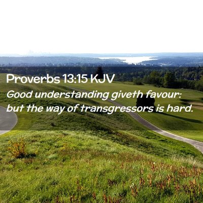 Picture 02 - Proverbs 13:15 KJV - Good understanding giveth favour: but the way of - Bible Verse Picture
