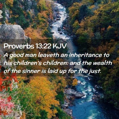 Picture 02 - Proverbs 13:22 KJV - A good man leaveth an inheritance to his - Bible Verse Picture