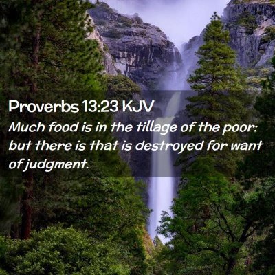 Picture 02 - Proverbs 13:23 KJV - Much food is in the tillage of the poor: but - Bible Verse Picture