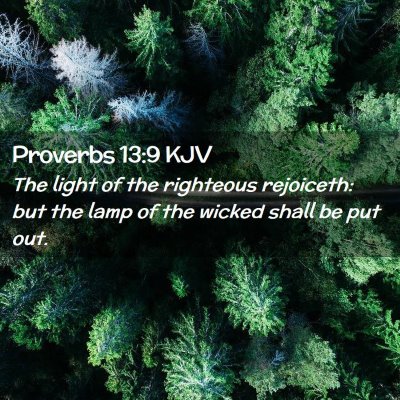 Picture 02 - Proverbs 13:9 KJV - The light of the righteous rejoiceth: but the - Bible Verse Picture