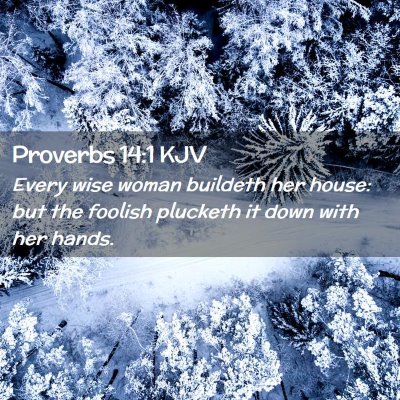 Picture 02 - Proverbs 14:1 KJV - Every wise woman buildeth her house: but the - Bible Verse Picture