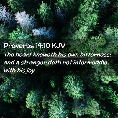 Picture 02 - Proverbs 14:10 KJV - The heart knoweth his own bitterness; and a - Bible Verse Picture