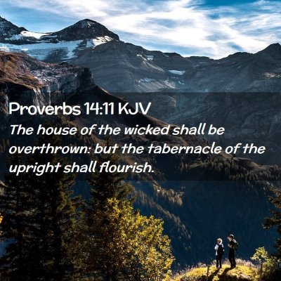 Picture 02 - Proverbs 14:11 KJV - The house of the wicked shall be overthrown: but - Bible Verse Picture