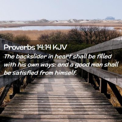 Picture 02 - Proverbs 14:14 KJV - The backslider in heart shall be filled with his - Bible Verse Picture