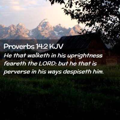 Picture 02 - Proverbs 14:2 KJV - He that walketh in his uprightness feareth the - Bible Verse Picture