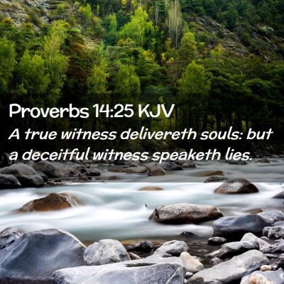 Picture 02 - Proverbs 14:25 KJV - A true witness delivereth souls: but a deceitful - Bible Verse Picture
