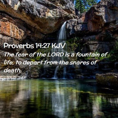 Picture 02 - Proverbs 14:27 KJV - The fear of the LORD is a fountain of life, to - Bible Verse Picture