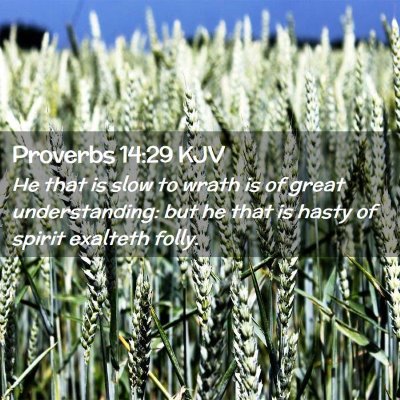 Picture 02 - Proverbs 14:29 KJV - He that is slow to wrath is of great - Bible Verse Picture